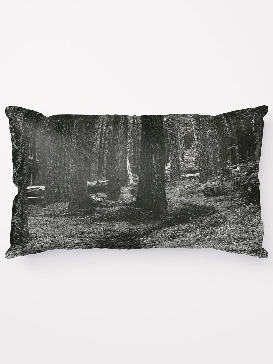 Hiking in the Buckhorn Wilderness Pillow product image (5)