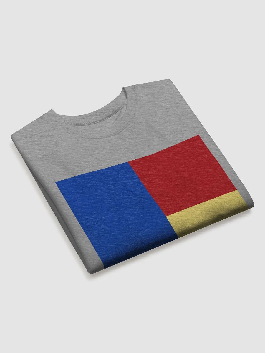 The Style: Colorblock Cotton Sweatshirt product image (14)