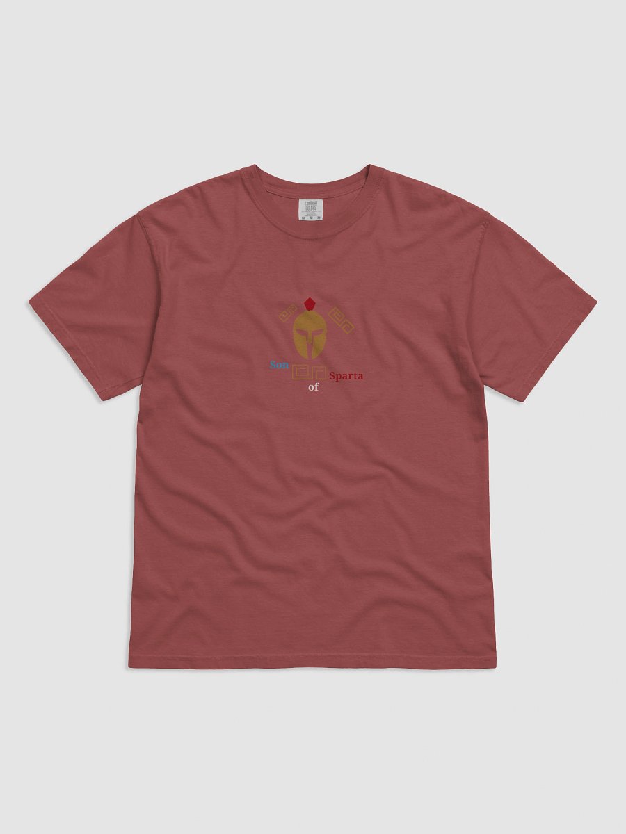 Spartan Pride Geometric Helmet T-Shirt product image (1)