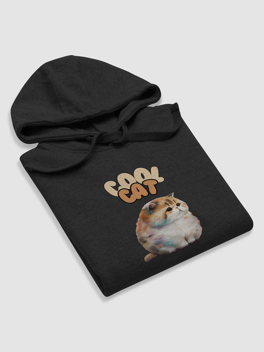 BBB Cool Cat Illustrated Premium Hoodie product image (41)