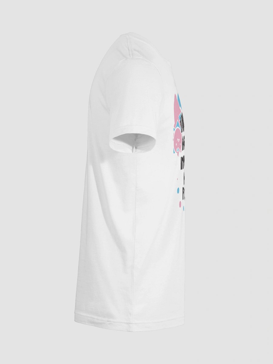✨ FRONT PRINT ✨ Chipflake Trans Lives product image (12)