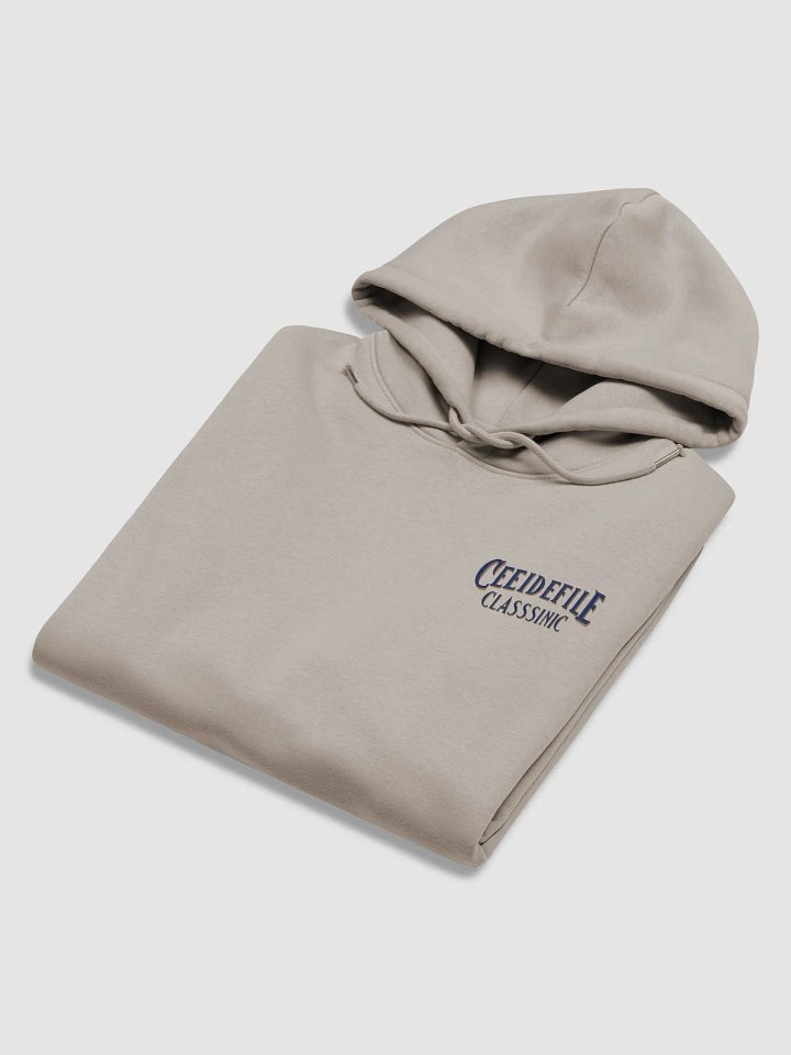 Eco Streetwear Organic Hoodie product image (1)