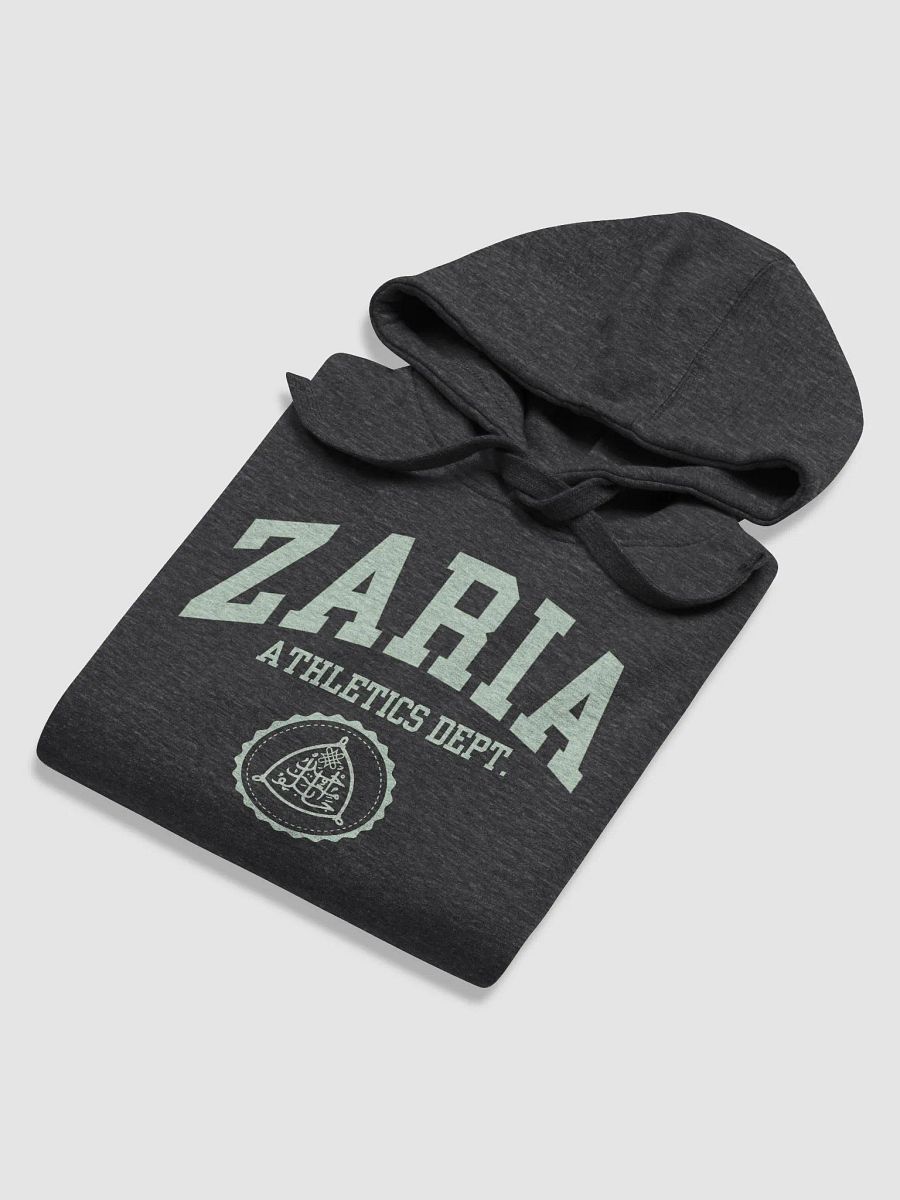 ZARIA ATHLETICS DEPT. Premium Hoodie product image (11)