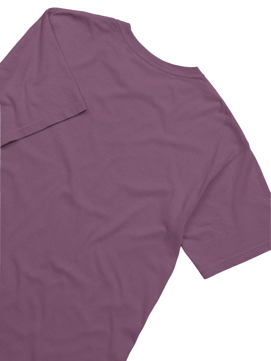 Mr. Peanutbutter, Dog Lawyer T-SHIRT product image (21)