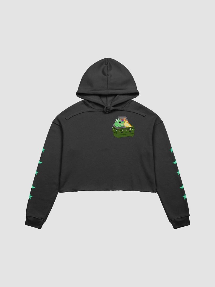 Faye's Dumpster Fire Cropped Hoodie product image (1)