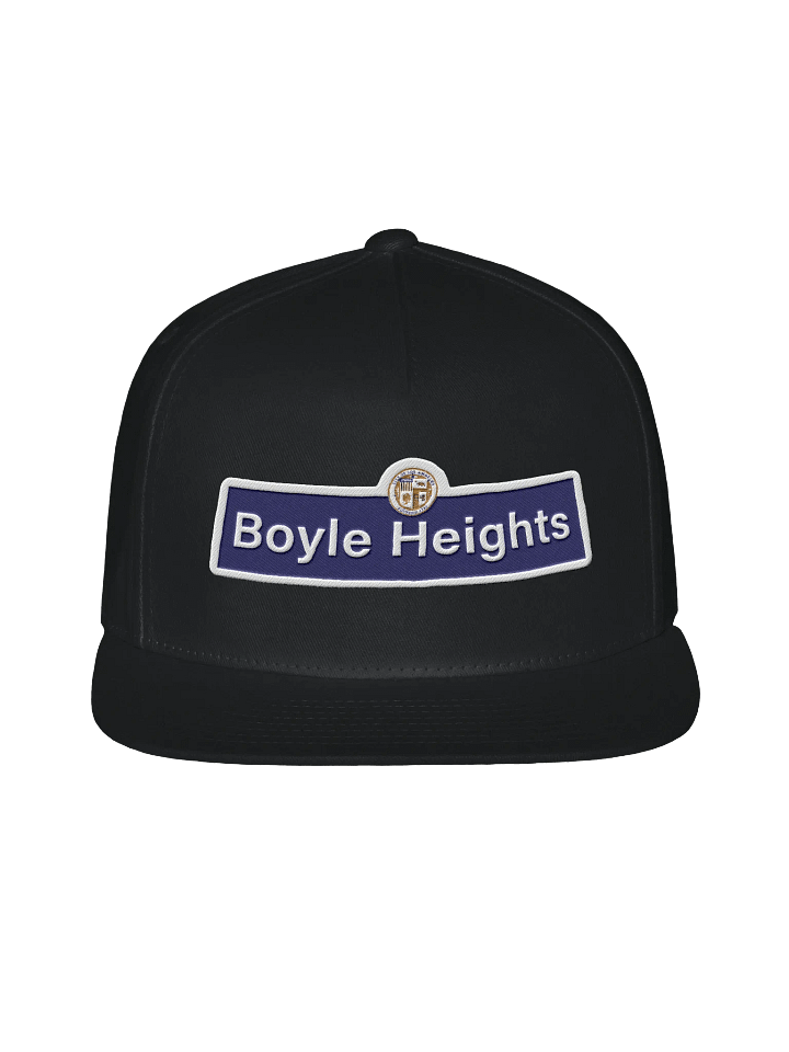 Snapback product image (1)