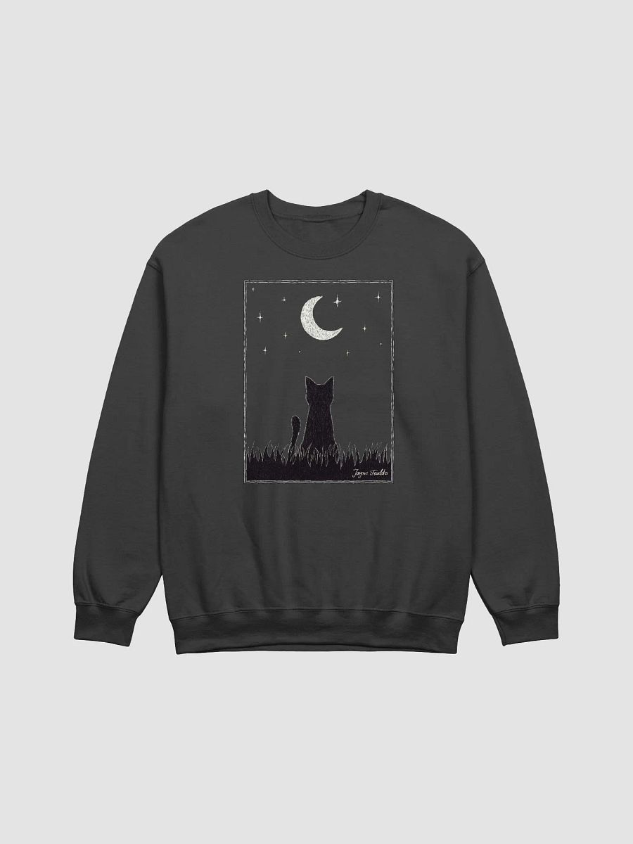 Stargazing Unisex Sweatshirt product image (1)