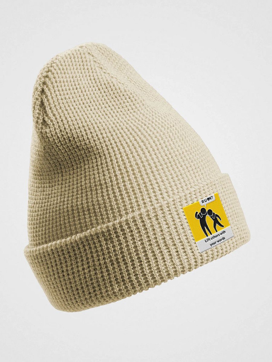 The OK Show Beenie product image (3)