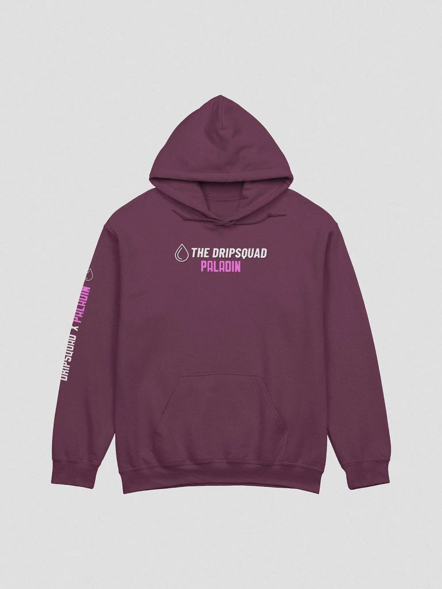 DRIP SQUAD X PALADIN product image (5)