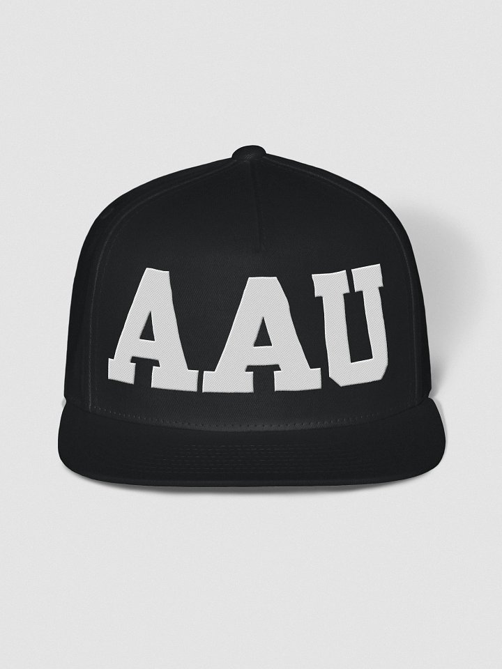 AAU Snapback Cap product image (5)