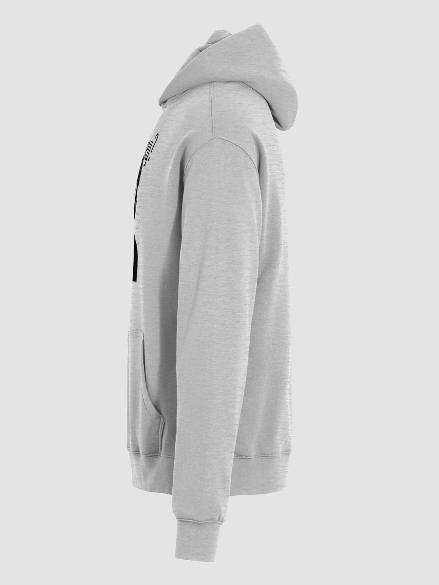 Got Honey Unisex Premium Oversized Hoodie product image (6)