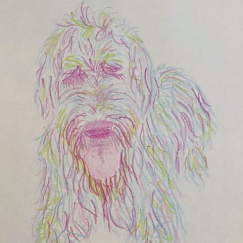 A doodle doodle if you will 🐩 🐶 

#dogsofinstagram #traditionalart #crayons #doodle