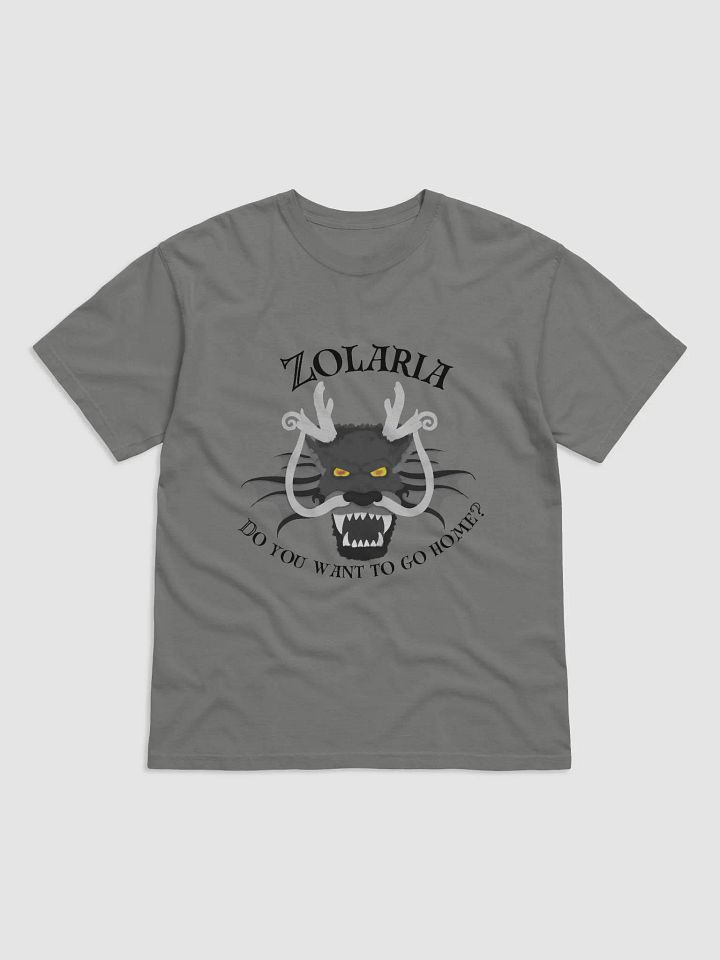 Do you want to go home? Tee product image (21)