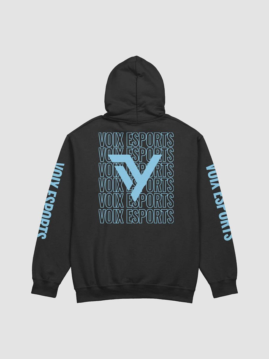 Voix eSports Outlined Hoodie product image (2)