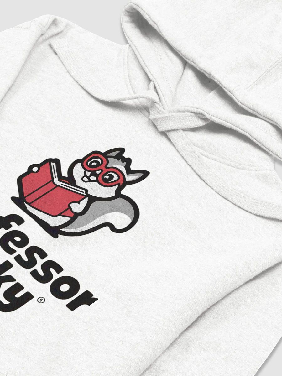 Super Soft and Comfy Hoodie: Professor Pooky, Red book, greyscale squirrel, minimal product image (3)
