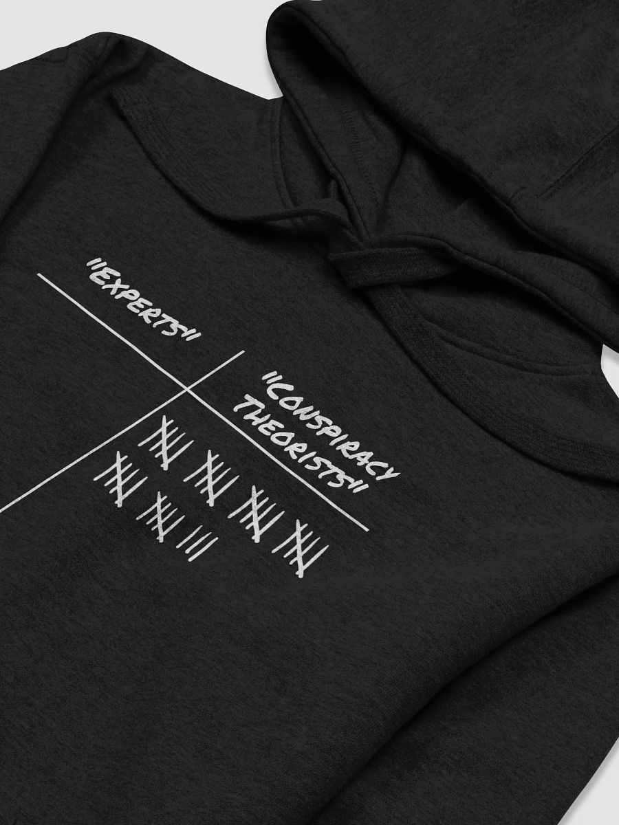 Experts vs. "Conspiracy Theorists" Hoodie product image (18)