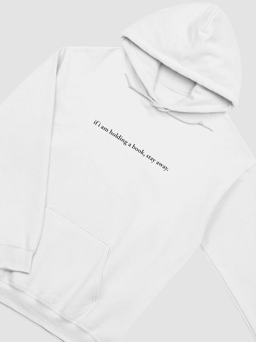 "if i am holding a book, stay away" Just Me and My Books Hoodie product image (33)
