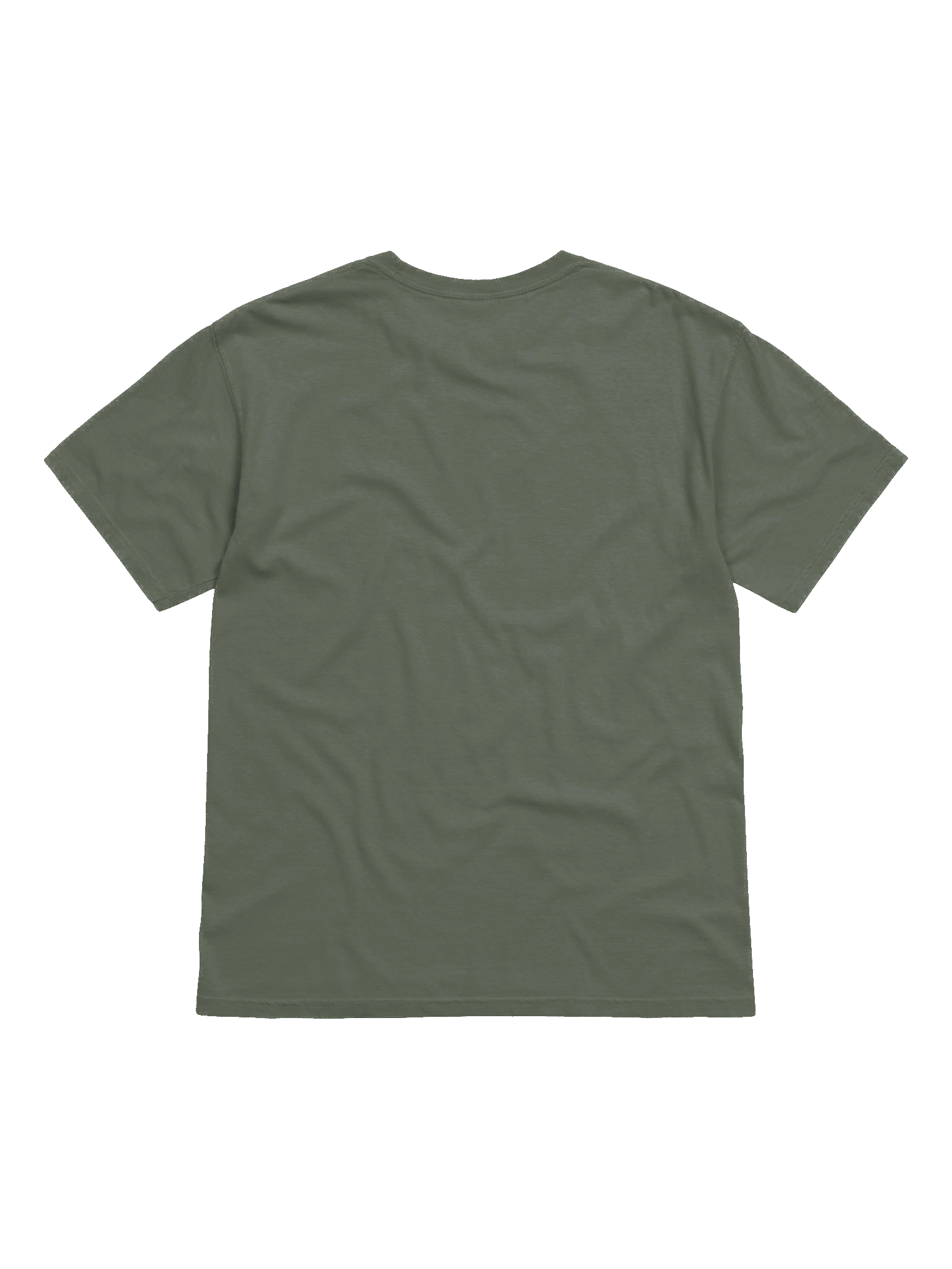 Later Alligator Garment Dyed Comfort Tee product image (16)
