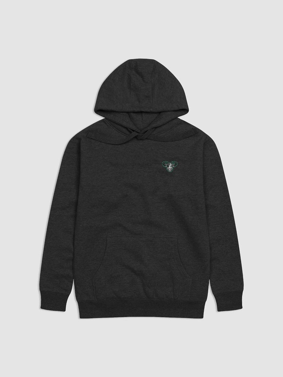 Unisex Hoodie product image (1)