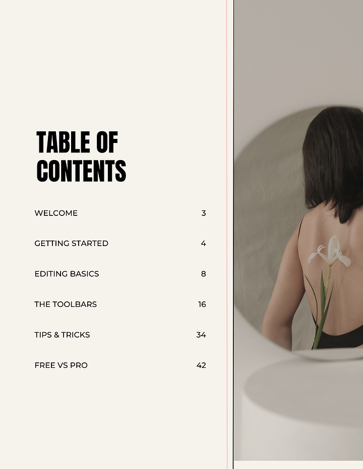 The Canva Playbook product image (2)