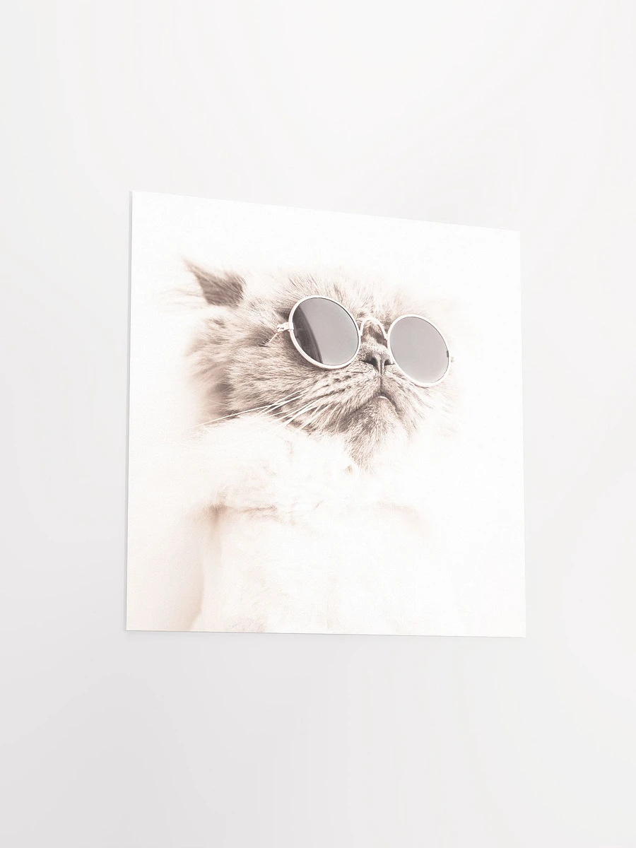 Cool Cat Square Poster product image (6)