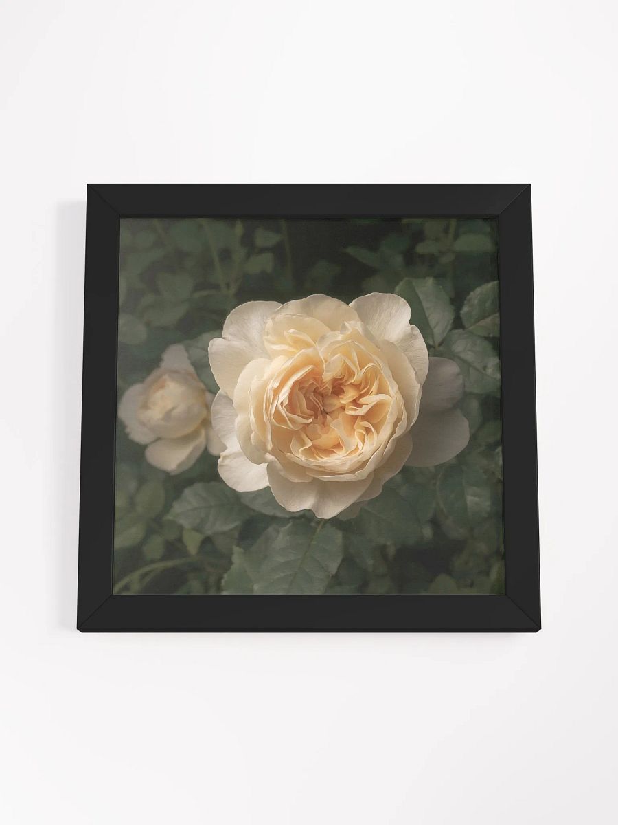 Favorite Rose product image (4)