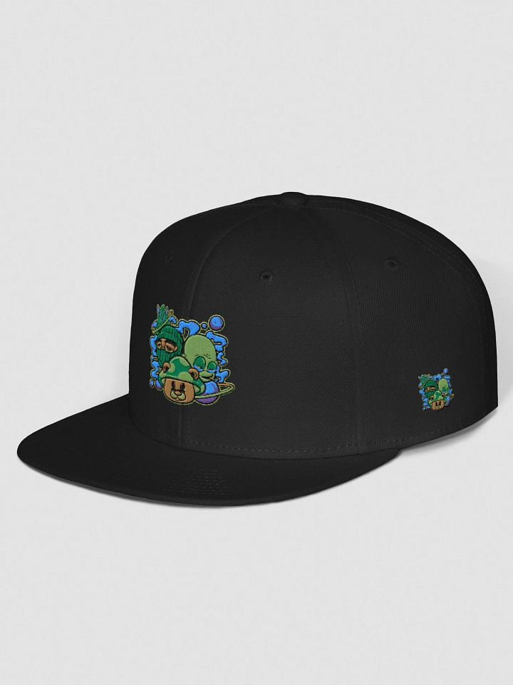 BizzWorld Drip snapback collection product image (22)