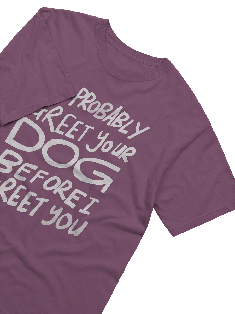 I'll Probably Greet Your Dog First Relaxed Tee product image (3)