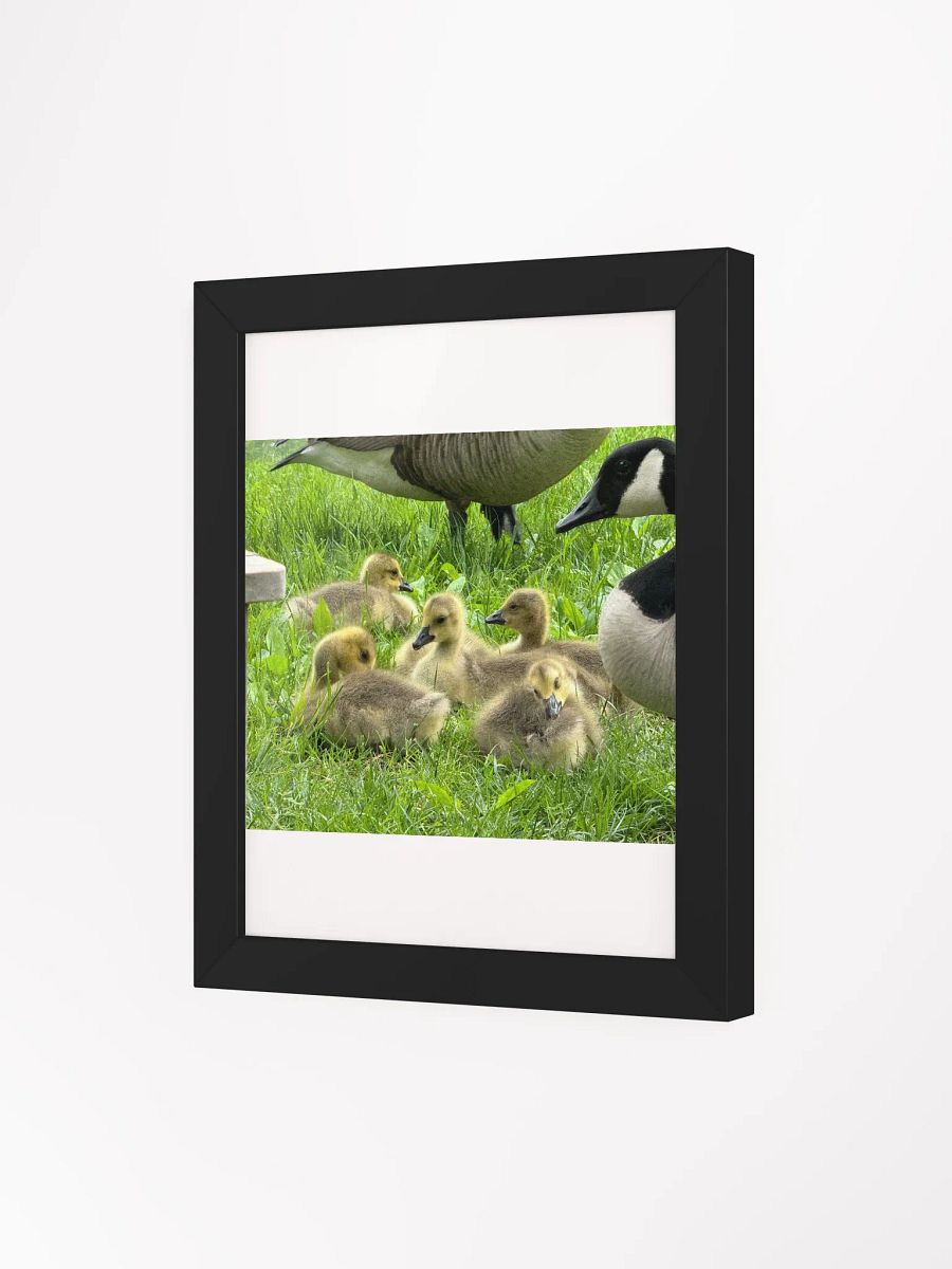 Mamma goose and babies product image (14)