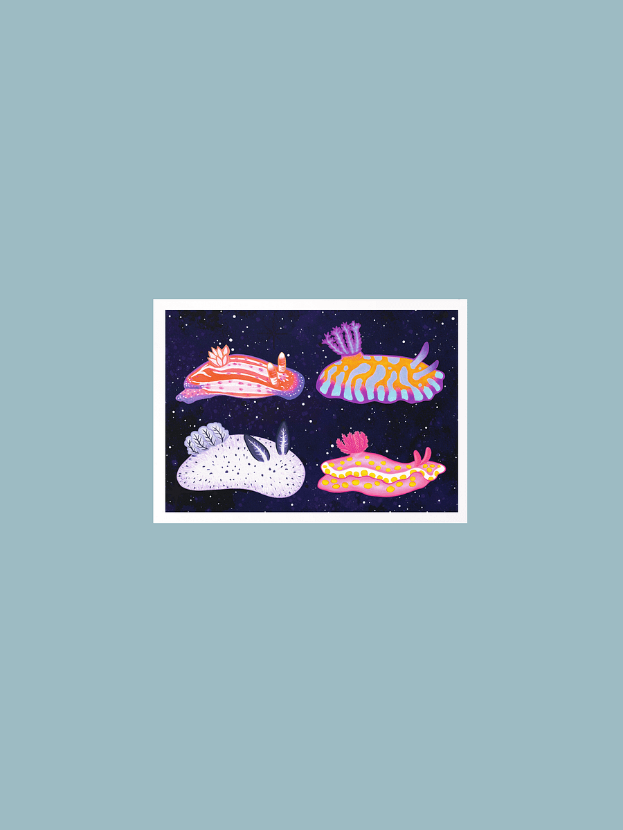 Sea Slugs: Set 1 - Print product image (2)