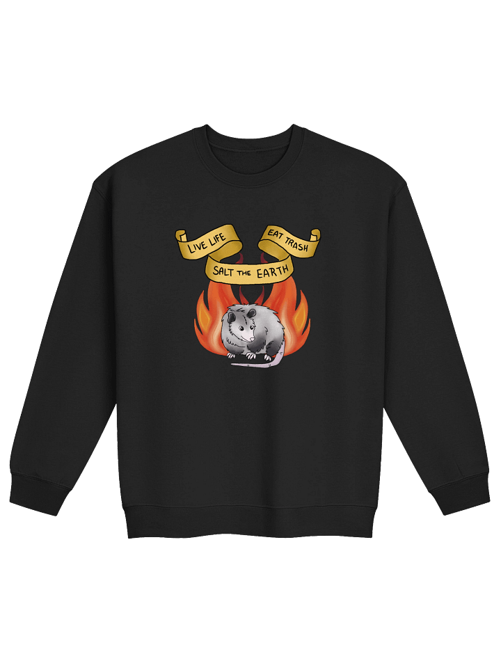 Cozy Sweatshirt product image (1)