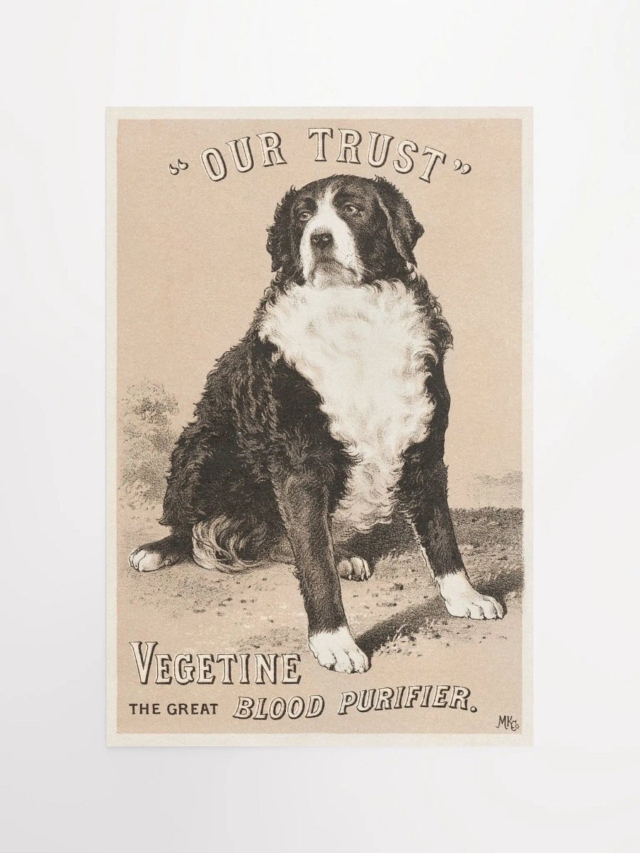 "Our trust" Vegetine, the great blood purifier product image (10)