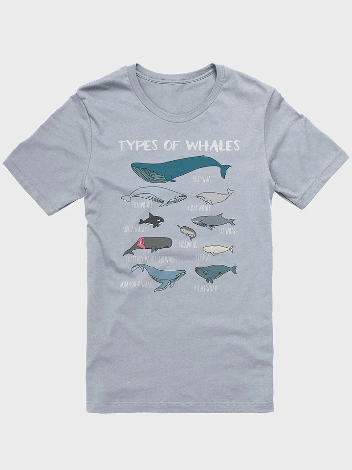 Types of Whales - Light Blue T-Shirt product image (1)