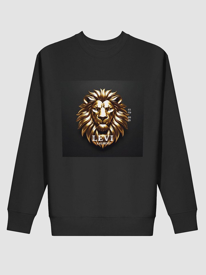 SWEATER product image (2)