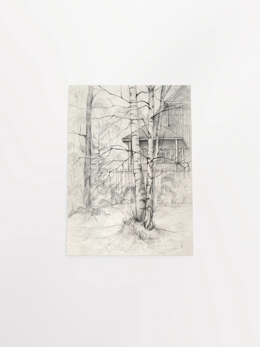 Vibrant Matte Poster Print - Dacha and Trees product image (4)