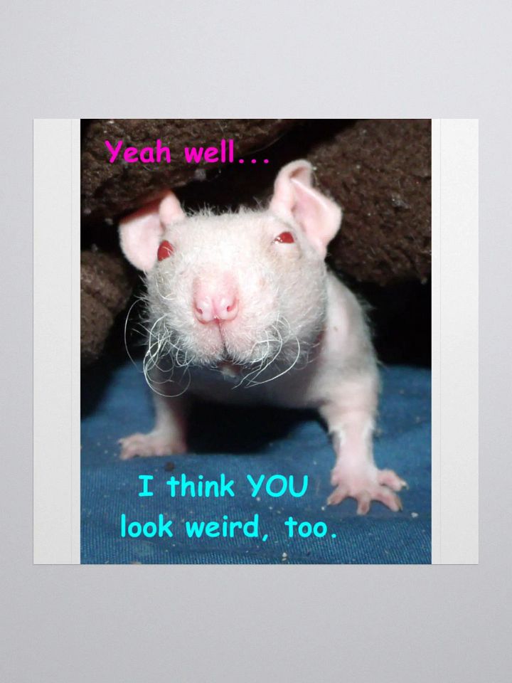 Hairless rat sticker product image (2)