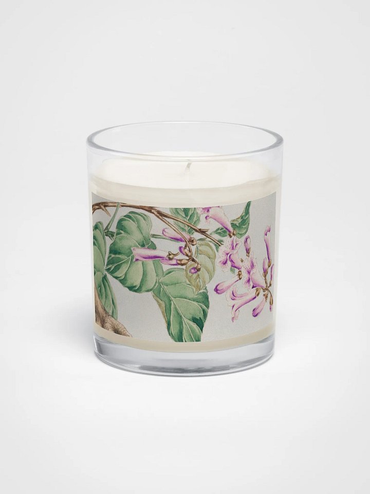 Kiri branch. Soy Wax Candle product image (1)