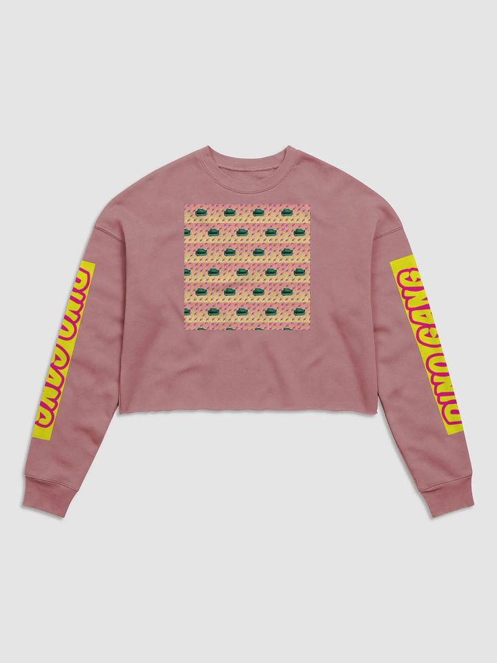 Strawberry Light DieselThreads Crop Top Hoodie product image (1)