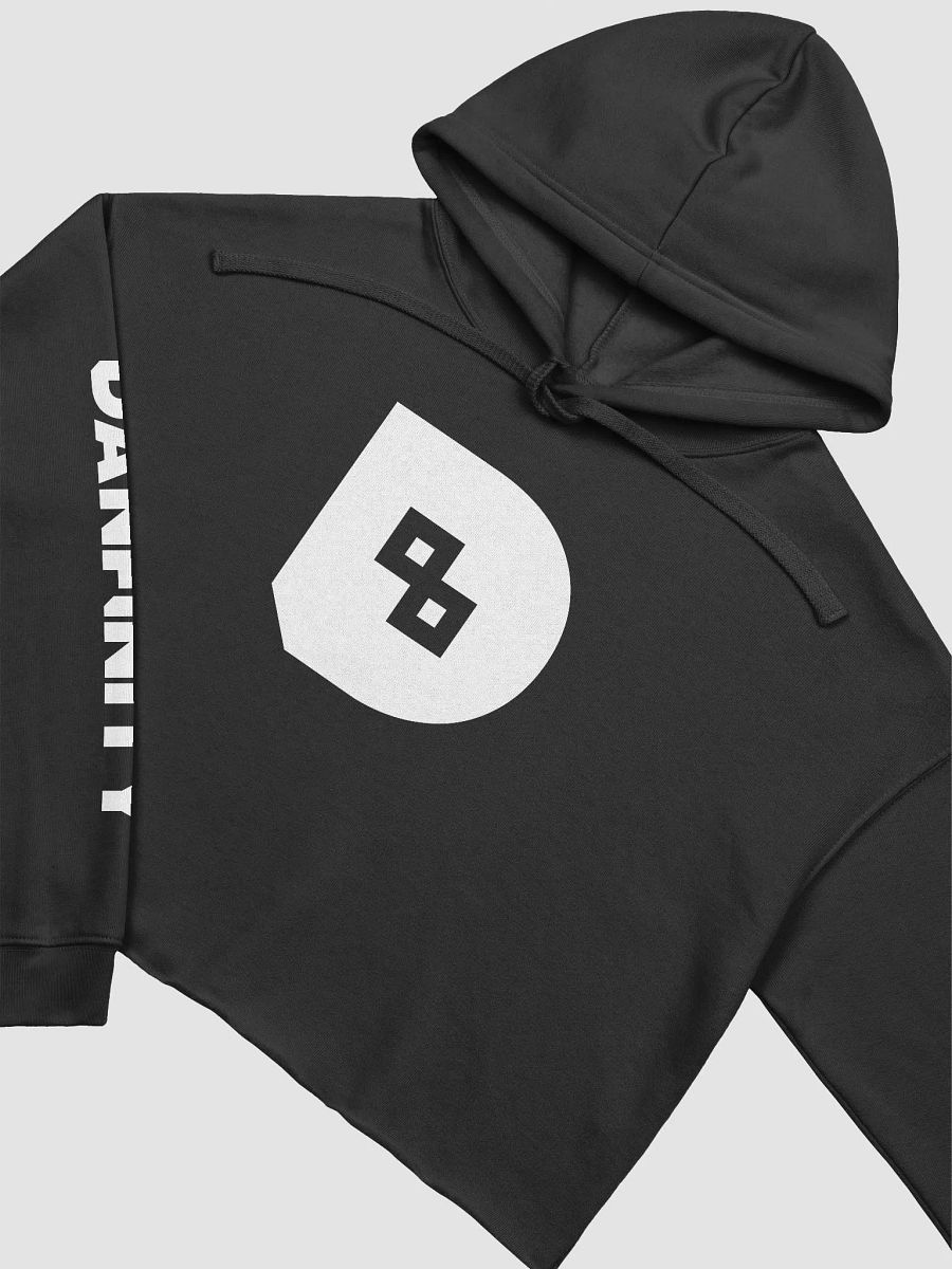 Danfinity Logo Crop Hoodie product image (3)