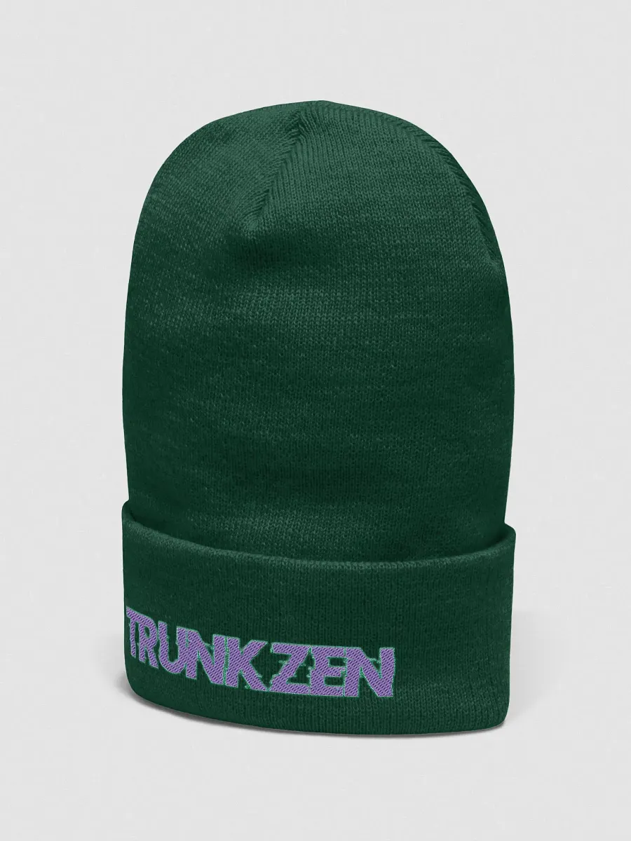 TrunkZen Beanie2 product image (17)