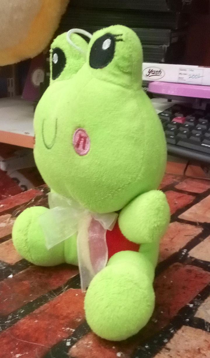 FROG SOFT TOY product image (2)