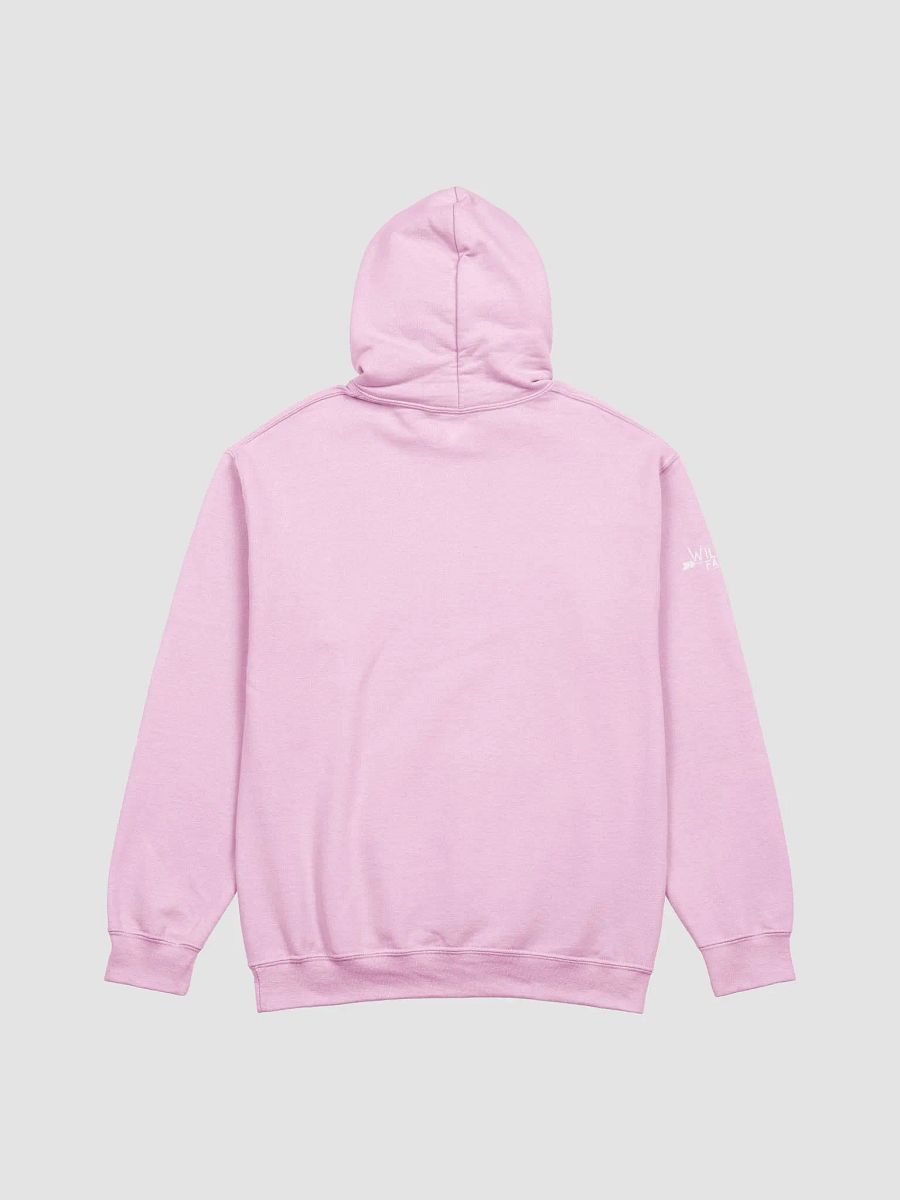 Schenectady Breast Cancer Awareness Hoodie product image (3)