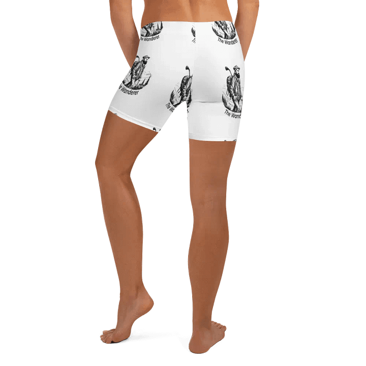 The Wanderer product image (2)