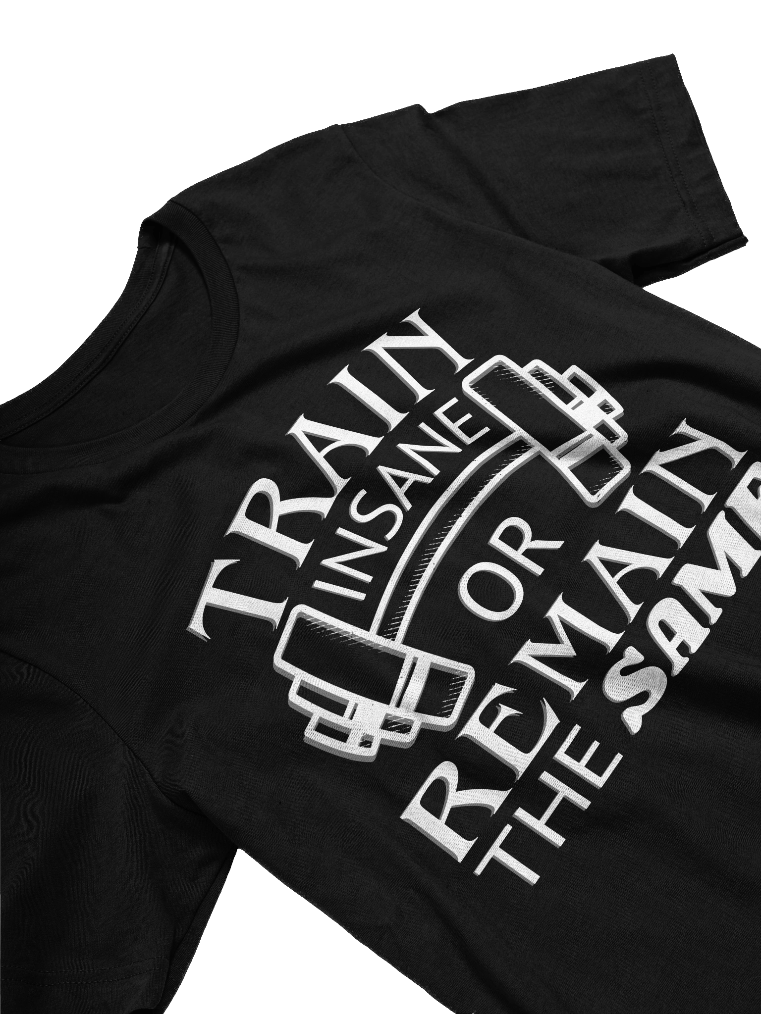 Train Insane or Remain the Same T-Shirt product image (3)