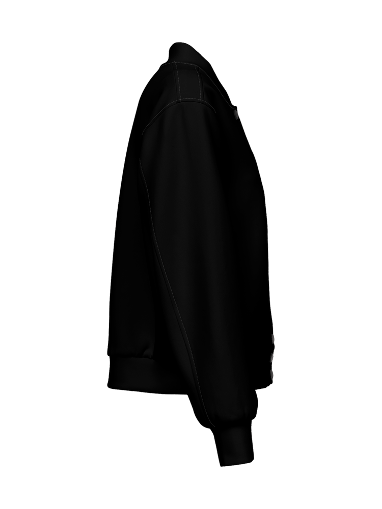 Chimera Cat Premium Bomber Jacket (Unisex) product image (2)
