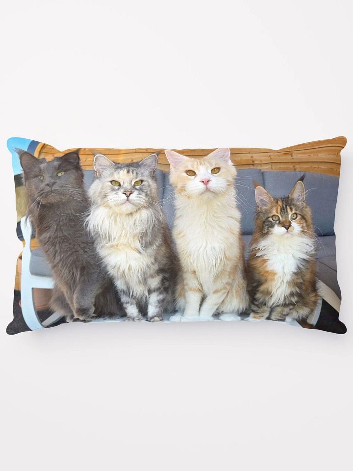 4 Generations - Pillow product image (2)