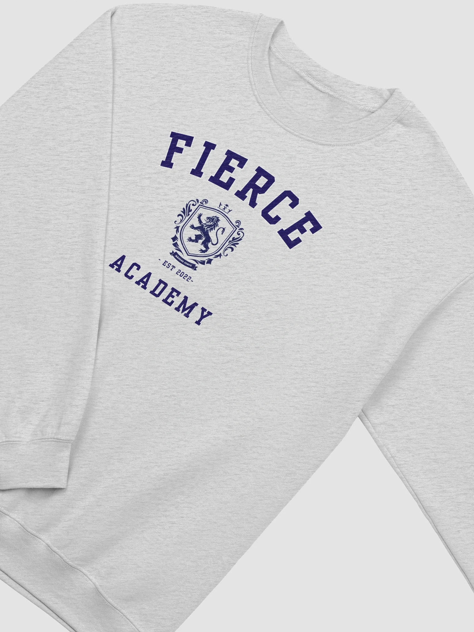 FIERCE ACADEMY Sweatshirt product image (3)