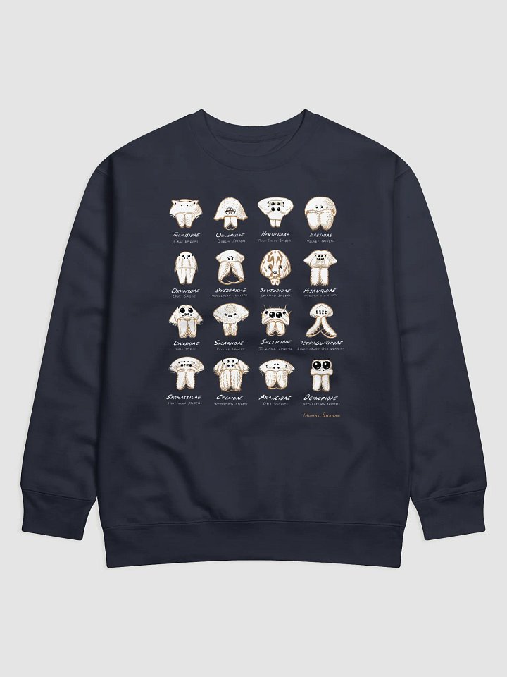 Spider Families Eye Arrangements Sweatshirt product image (3)