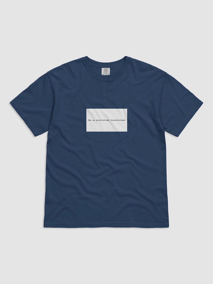 its a summer bummer product image (1)