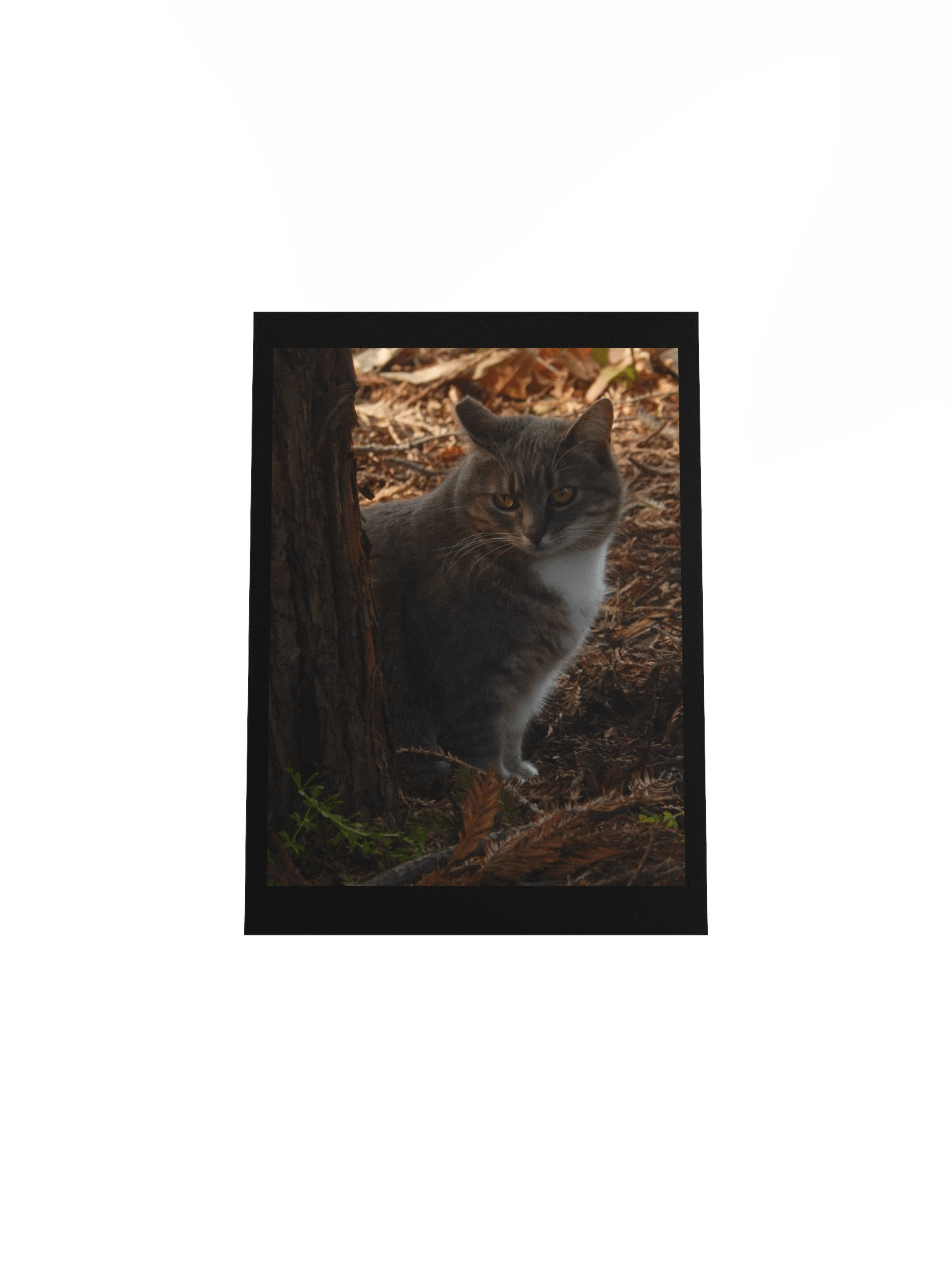 Forest Kitty product image (8)